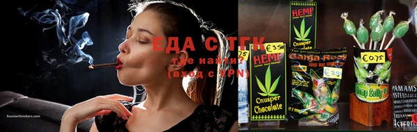 тгк Абаза