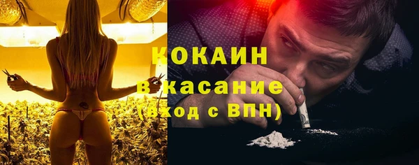 тгк Абаза